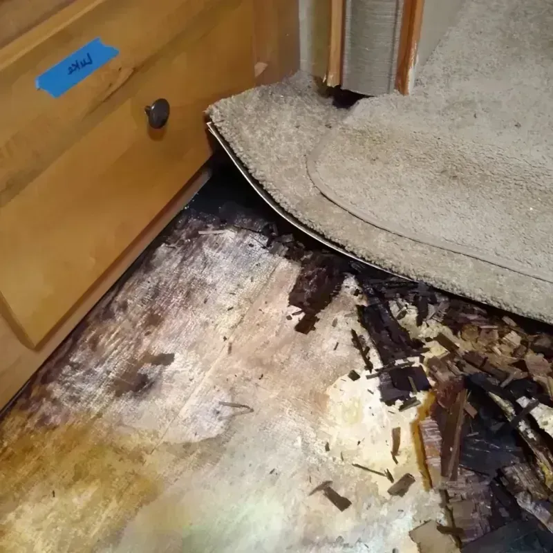 Best Wood Floor Water Damage Service in Germantown, MD